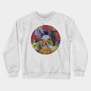 Squirrels with pacifierr funny Crewneck Sweatshirt